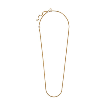 14K Gold-Plated Rolo Necklace