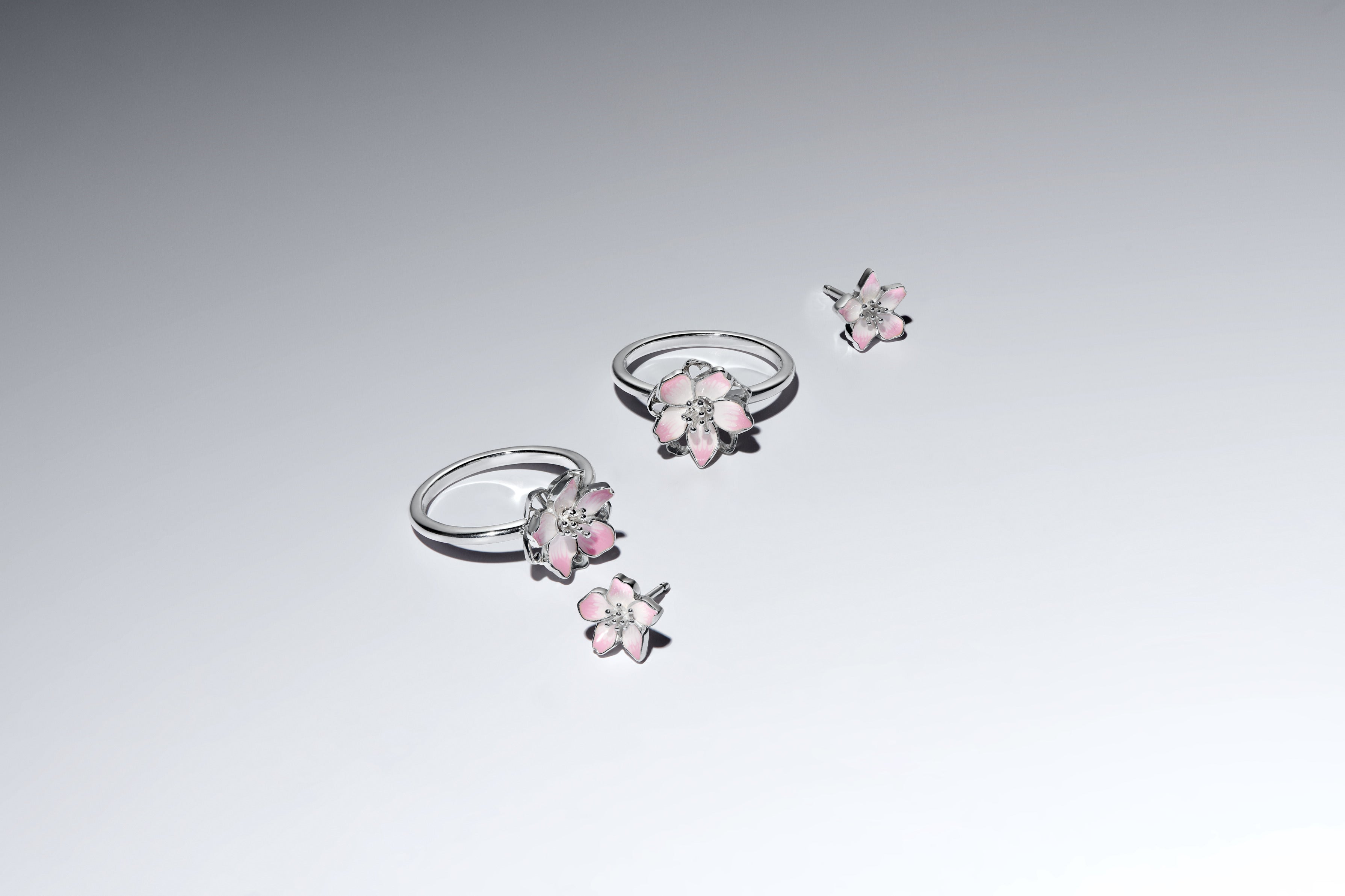Cherry Blossom Sterling Silver Stud Earrings With Shaded Pink Enamel
