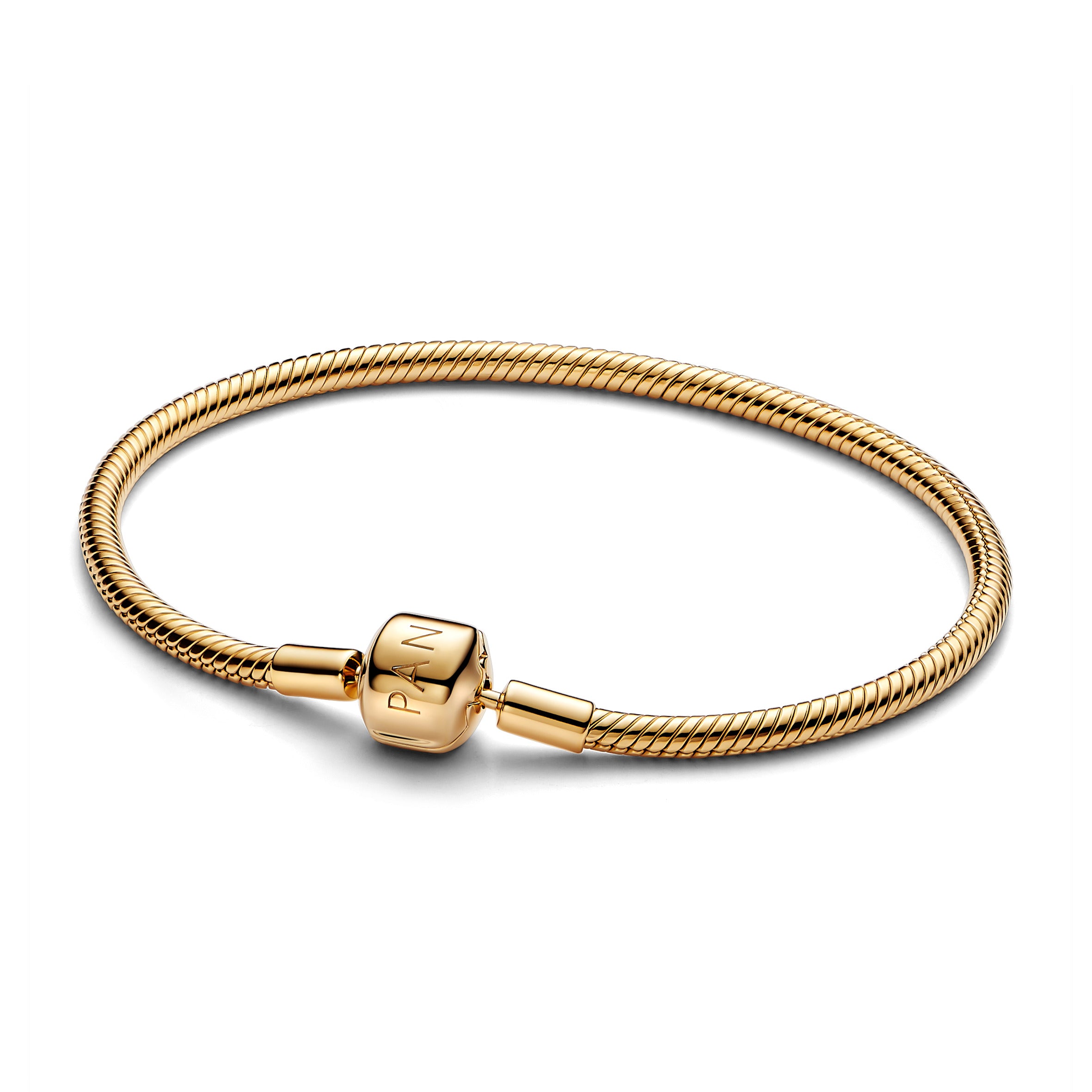 Snake Chain 14K Gold-Plated Bracelet