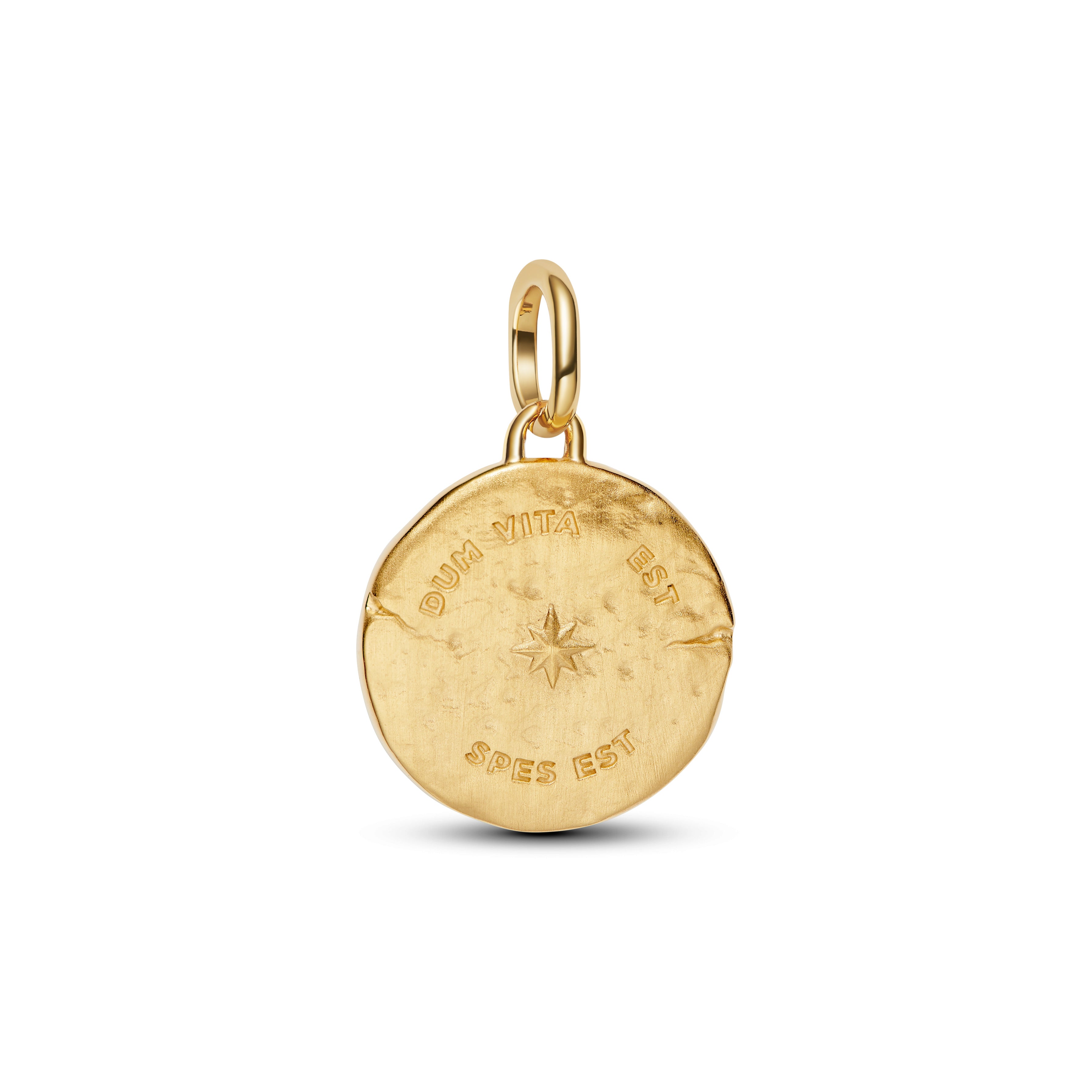 Swallow 14K Gold-Plated Medallion With Clear Cubic Zirconia